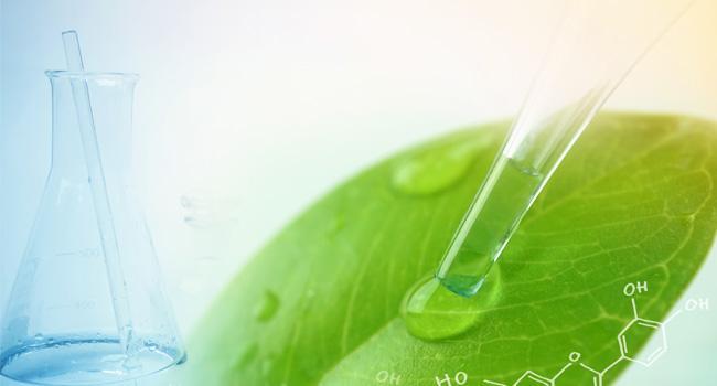 Visuel des principes actifs au totum de la plante