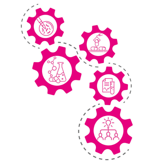 PiLeJe maîtrise le savoir-faire du vivant