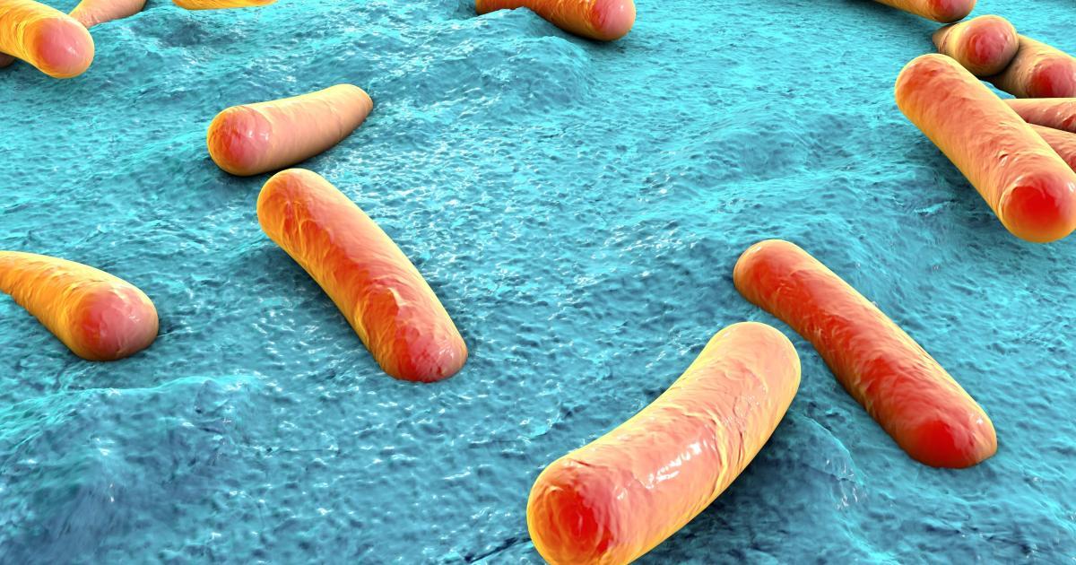 Arrt du tabac & prise de poids : le rle du microbiote | PiLeJe