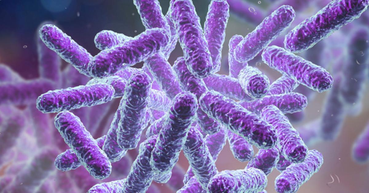 Probiotiques  comment bien les choisir ?  PiLeJe Micronutrition