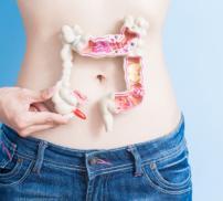 bandeau lien intestin bonne humeur