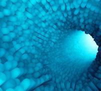 Vignette cellules intestinales