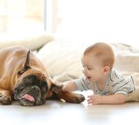 Les animaux de compagnie peuvent prévenir l’apparition des allergies chez le petit enfant