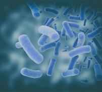 vignette que faire en cas de diarrhée