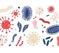 Vignette - Les bénéfices des prébiotiques  sur la santé