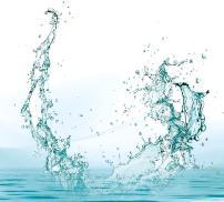 vignette quizz magnésium