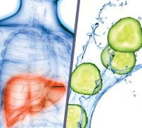 Vignette article Detoxification