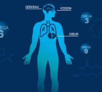 Le rôle spécifique des oméga 3