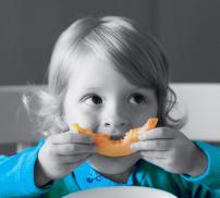 Vignette Fondation PiLeJe