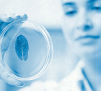 Expertise du végétal