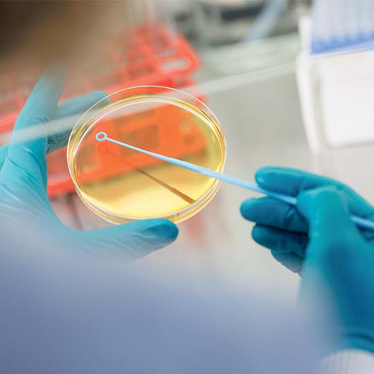 La première solution santé composée d’un mélange de souches de probiotiques commercialisée en France