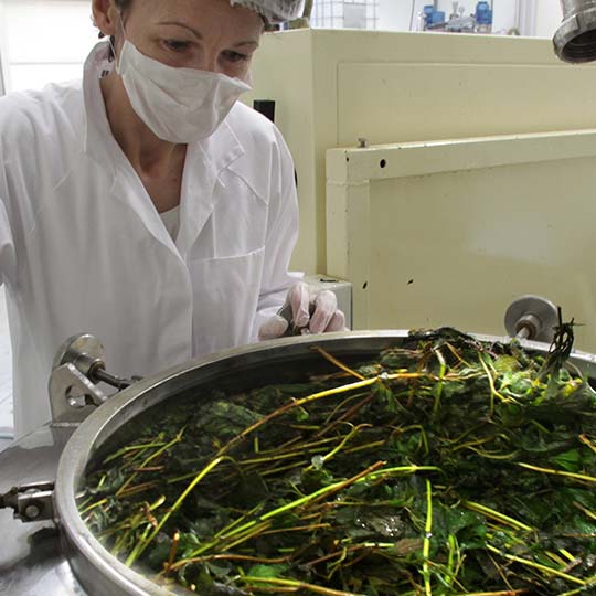 Association avec le pôle industriel 3i Nature