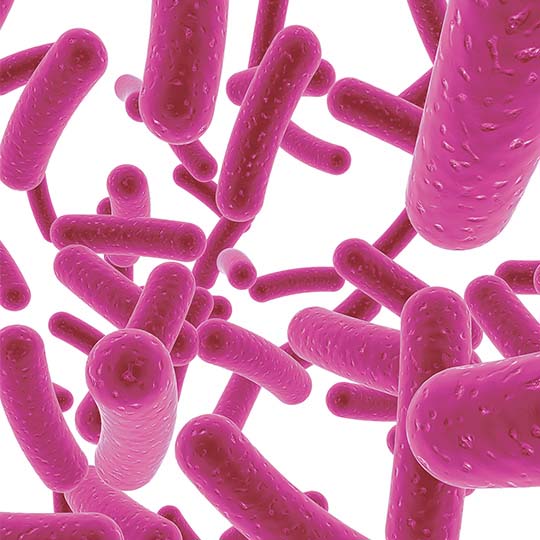 Publication de la première étude clinique sur un produit à base de souches probiotiques